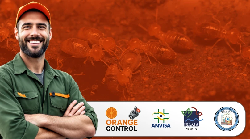 Descupinização em Guarulhos